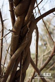 尼康d90如何恢复出厂设置(尼康D90如何自拍)