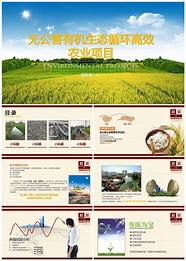 农业创业项目与创业