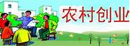 9个农村小本创业好项目 你中意哪一个