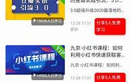 2020创业好项目 什么创业项目赚钱(2020年最有前景的创业项目)