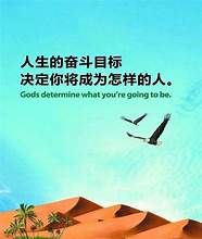 努力从未停止 我们的努力从未停止