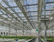 阳光：这个天花板电商不一样。