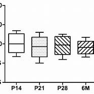 因激素超标等338批次面膜不合格 小心烂脸