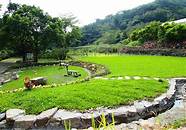 台湾生态农业(台湾生态农场)