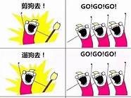 开宠物美容店没资金 宠物美容师的五颗心陪伴你一路无忧