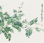 植物写生绘画作品(植物创作画)