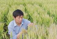 农村干什么能挣钱 抓住这三大产业 农民可以娶妻了