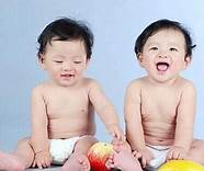 双胞胎集团怎么样与双胞