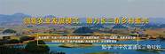 农村创业成功的案例3个 值得借鉴