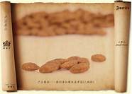 耐威克猫粮怎么样与威克