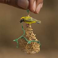 小鸟和小鸟(小鸟飞的真厉害) 小鸟和小鸟(小鸟飞的真厉害)