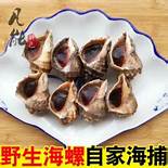 海螺创业又要配股(老海创与海螺创业股票)