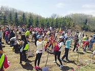 返乡创业项目遍地开花 深耕市场引凤回家 “归雁经济