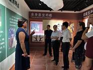 青少年创业贷款与青少