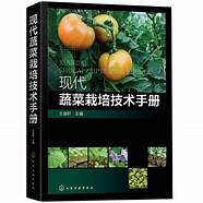 种植蔬菜的创业计划书怎么写?(创业计划书开蔬菜店)