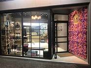 经营宠物店有什么好的方案 精选7篇