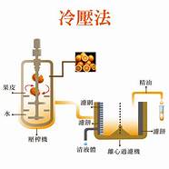 静佳精油新品回归 甜橙精油 10ml* Q弹亮肤 愉悦心情