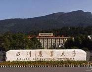四川农业大学好吗(四川农业大学前景如何?)