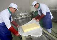 农村办厂好项目 投资小 干好了比打工强