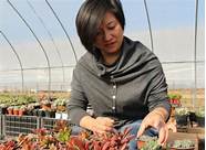 夫妻创业做什么好 夫妻创业干什么好