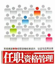 任正非创业初期主要靠(任正非创业成功的经验)
