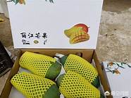 最有前景的10个农村创业点子 能赚钱吗
