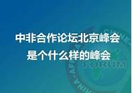 第一届中非合作论坛北京峰会(中非民营经济合作高峰论坛)