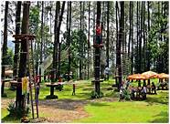 网红产品为什么红(网红产品如何赢得长红口碑的主要观点)