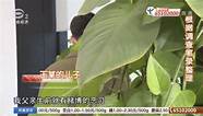 儿子创业失败欠了50万 他子债父偿4年还50万