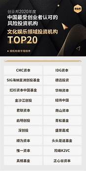 创业风险投资与风险投资