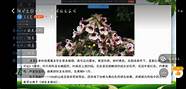 浅谈大学生就业权益维护与就业风险防范的有效措施(浅谈大学生就业问题)