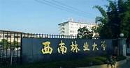 西南林业大学怎么样与林业