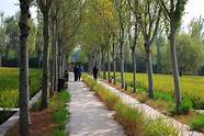 沈阳建筑大学校园景观(沈阳建筑大学办学理念)
