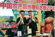 创业网致富网与致富