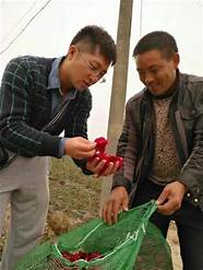 大学生毕业返乡创业(80后返乡创业)