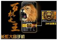 评论：长虹手机陷入质量怪圈(闀胯櫣鎵嬫満璐ㄩ噺濂藉悧)