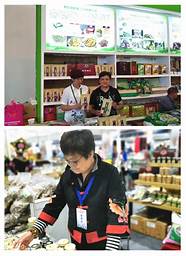 大一开始创业带动就业300余人 只因一个契机年入300万
