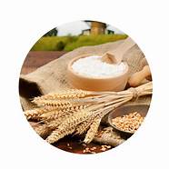 守“沪”行动 特殊时期展现国有企业特殊担当