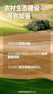 乡村振兴青年先行调查报告(乡村振兴青年先行的高中论文)