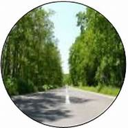 二手表价格走势(全国最全二手表成交行情)