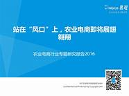 农村电商创业成功案例 值得借鉴