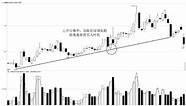 两只a股同时公告终止上市决定  两只A股同时公告终止上市决定 曾为创业板首批上市