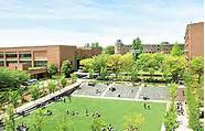 大理市学校片区划分(大理市2021年小学招生)