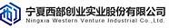西部创业实业股份有限公司(西部创业集团公司)