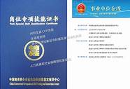 双大壮：中证商业计划书