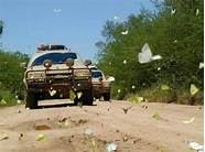 雪佛兰开拓者怎么样 口碑如何 来看看车主是怎么评价的