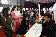 南京毕业生就业政策(南京大学生就业创业服务网)