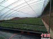 让更多返乡农民工 在家门口就    来自美好琅琊