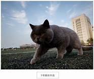 合肥学院学生创业项目亮相安徽省大学生创业计划第十届挑战杯华安证券大赛。
