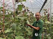 新农人创业经(农村致富新农人)